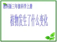 教科小学科学三上《1.6、植物发生了什么变化》PPT课件(6)