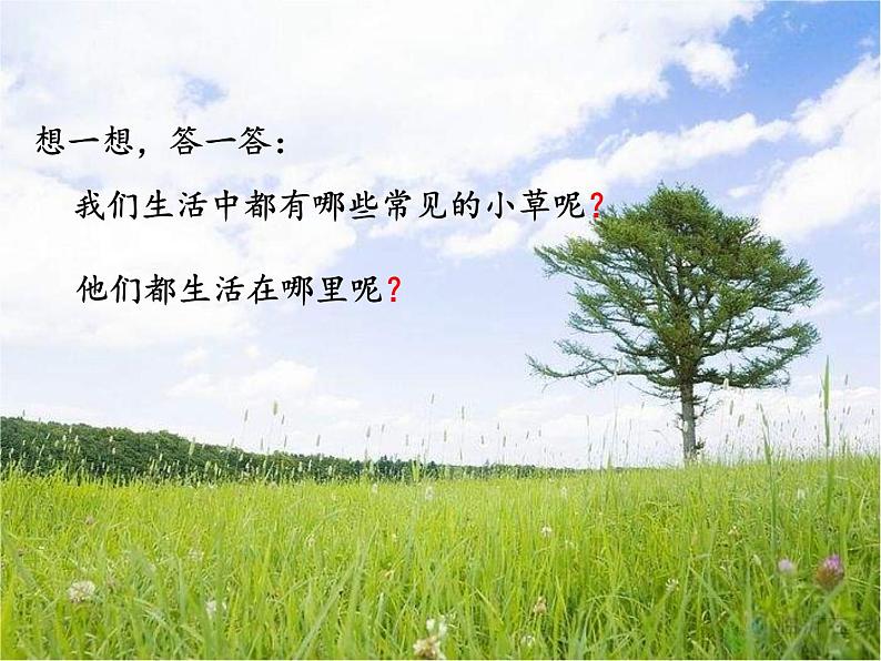 教科小学科学三上《1.3、大树和小草》PPT课件(3)第2页