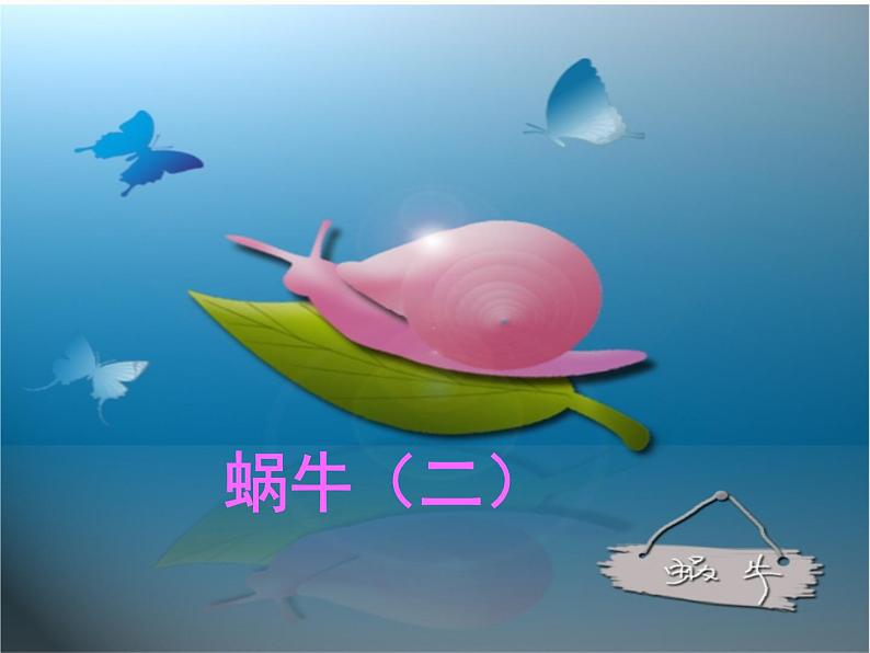 教科小学科学三上《2.3、蜗牛(二)》PPT课件(6)第1页
