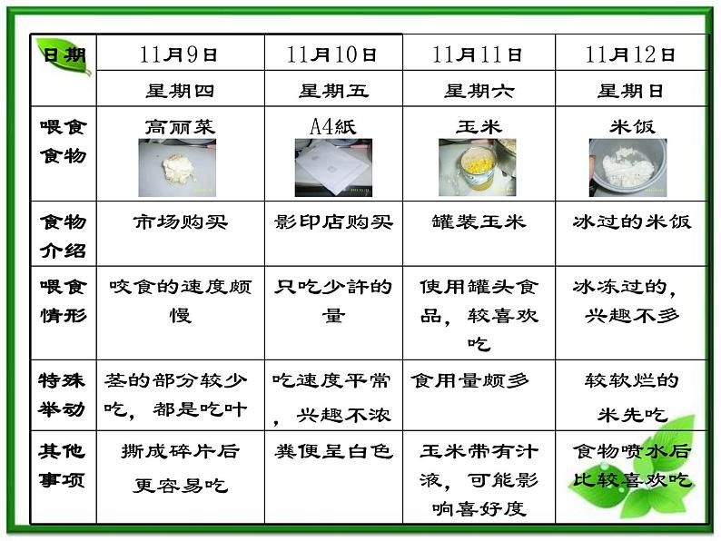 教科小学科学三上《2.3、蜗牛(二)》PPT课件(6)第7页