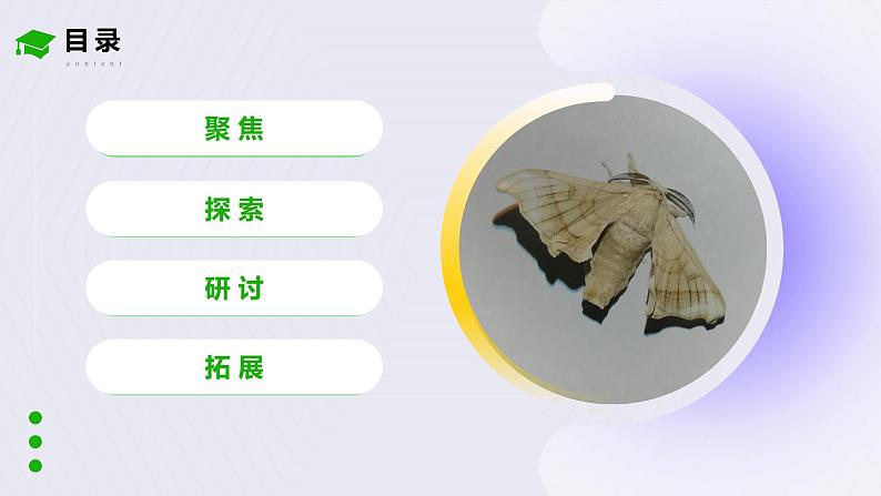 2.5《茧中钻出了蚕蛾》课件第3页