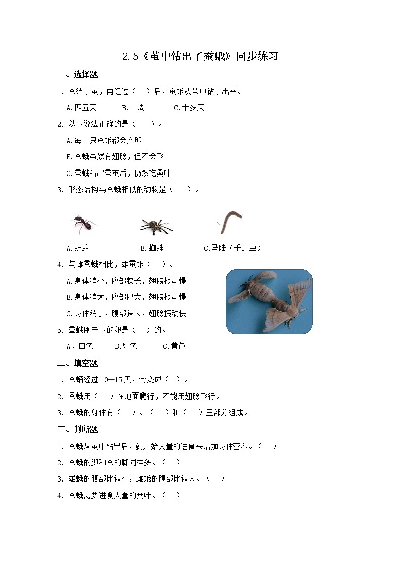 2.5《茧中钻出了蚕蛾》同步练习第1页