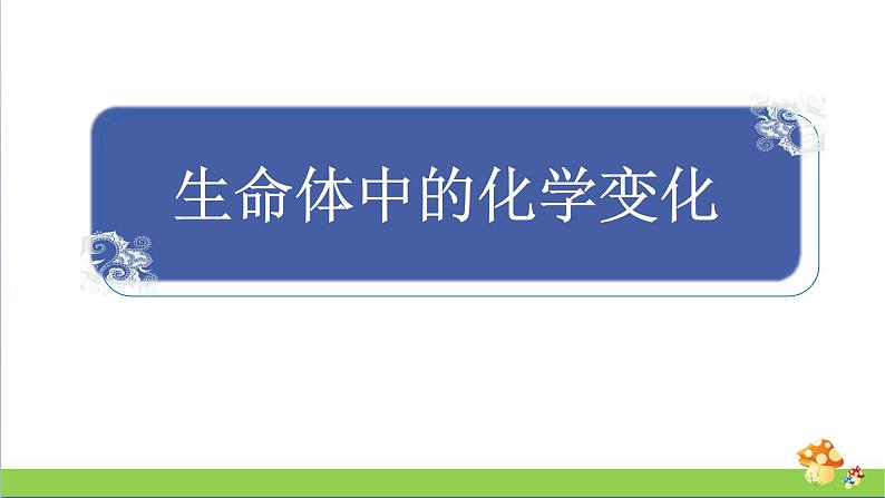 新教科版六年级下册科学4.6《生命体中的化学变化》(课件+素材)01