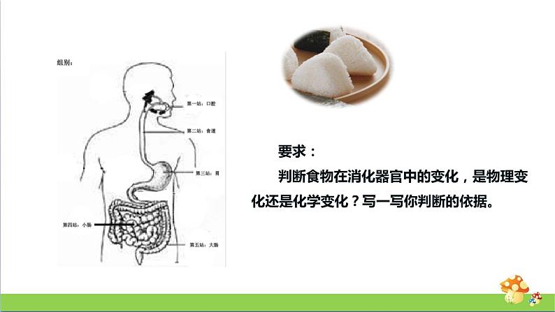 新教科版六年级下册科学4.6《生命体中的化学变化》(课件+素材)06