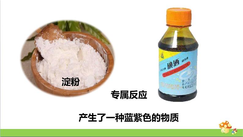 新教科版六年级下册科学4.6《生命体中的化学变化》(课件+素材)07