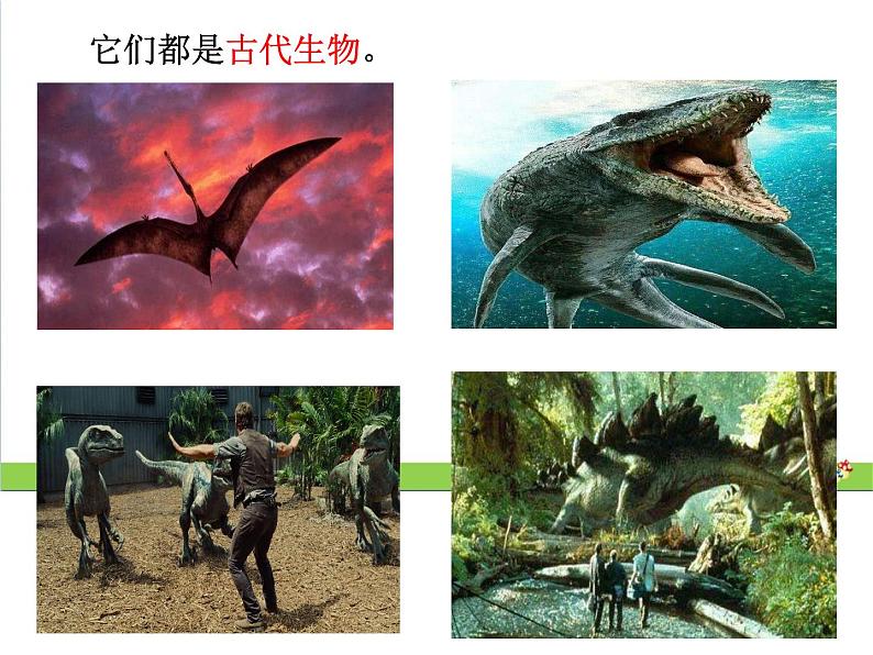 新教科版六年级下册科学2.6《古代生物的多样性》(课件+素材)03
