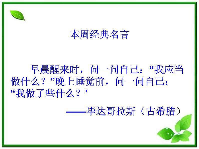 校园的树木PPT课件免费下载01