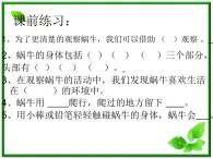 教科小学科学三上《2.3、蜗牛（二）》PPT课件(1)