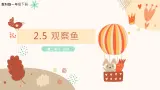 教科版(2017)科学一年级下册2.5《观察鱼》课件PPT+教案+同步练习