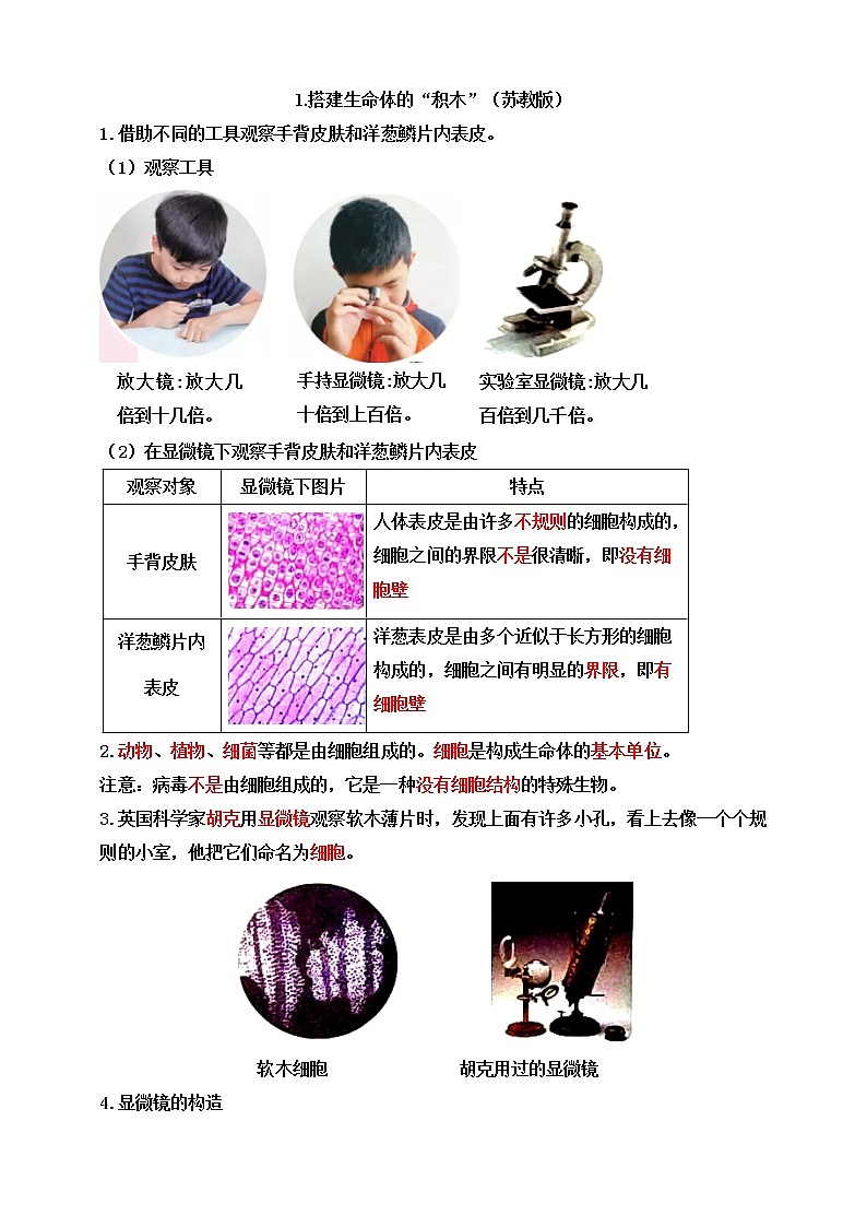 苏教版五年级科学下册1.1 搭建生命体的“积木”知识点第1页