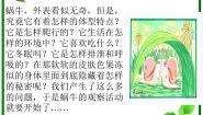 蜗牛(一)PPT课件免费下载