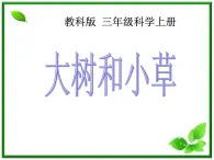 教科小学科学三上《1.3、大树和小草》PPT课件