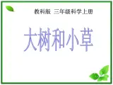 教科小学科学三上《1.3、大树和小草》PPT课件