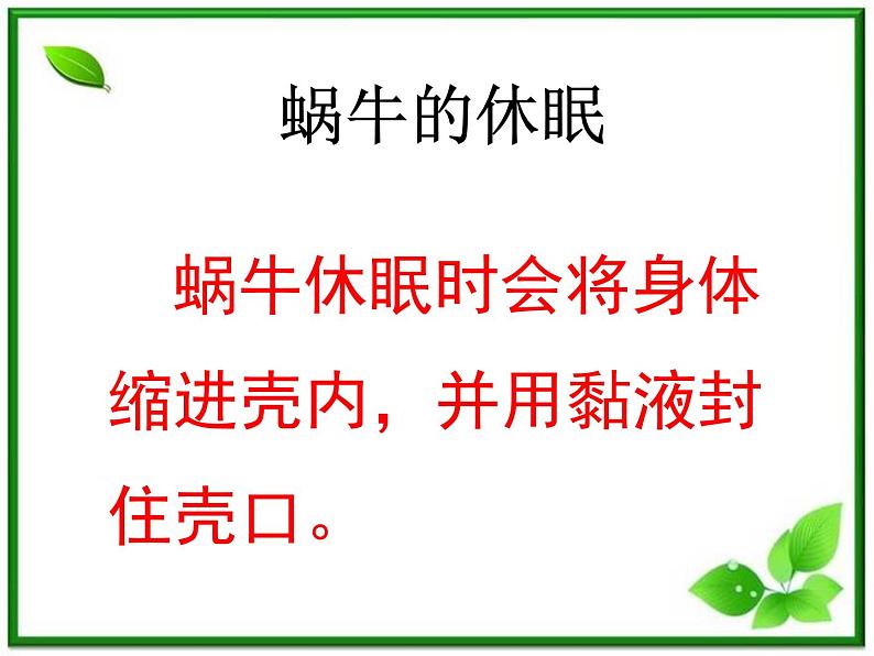 教科小学科学三上《2.3、蜗牛(二)》PPT课件第4页