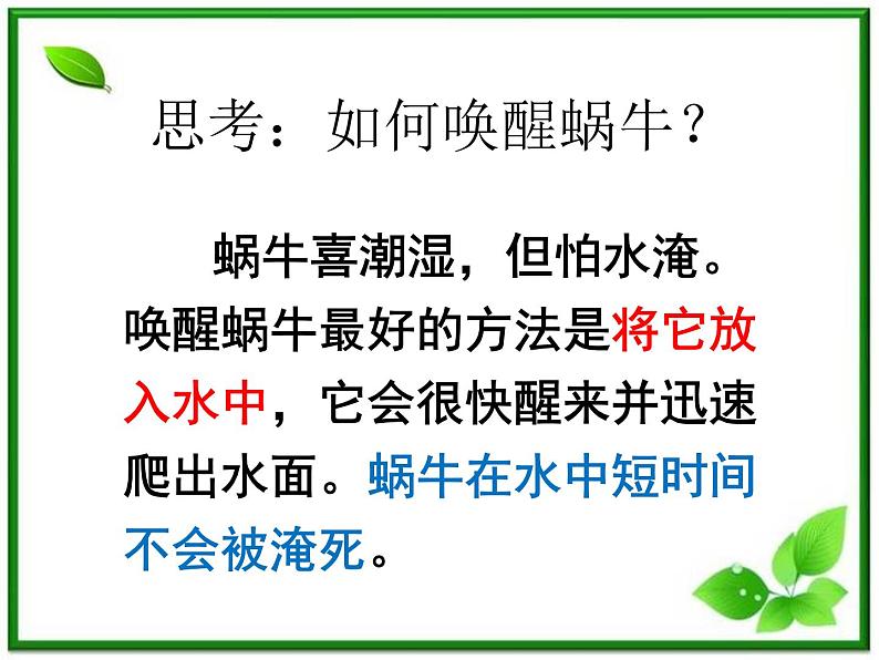 教科小学科学三上《2.3、蜗牛(二)》PPT课件第5页