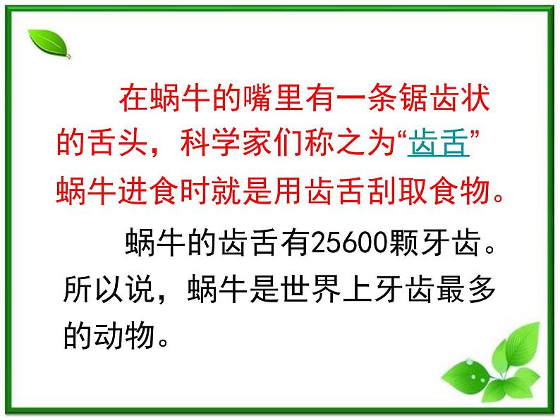 教科小学科学三上《2.3、蜗牛(二)》PPT课件第8页