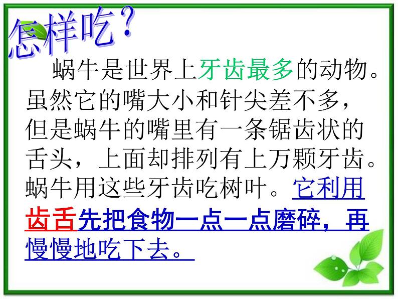 教科小学科学三上《2.3、蜗牛(二)》PPT课件第5页