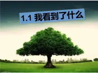 教科小学科学三上《1.1.我看到了什么》PPT课件