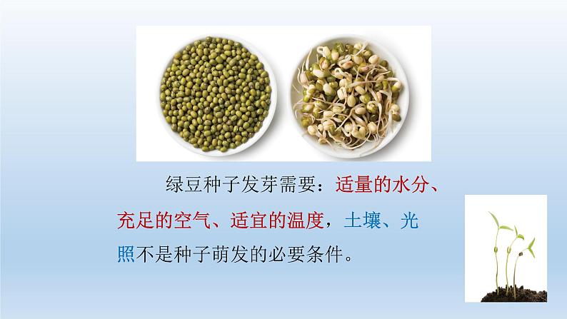 小学科学教科版五年级下册第一单元《生物与环境》复习课件第6页