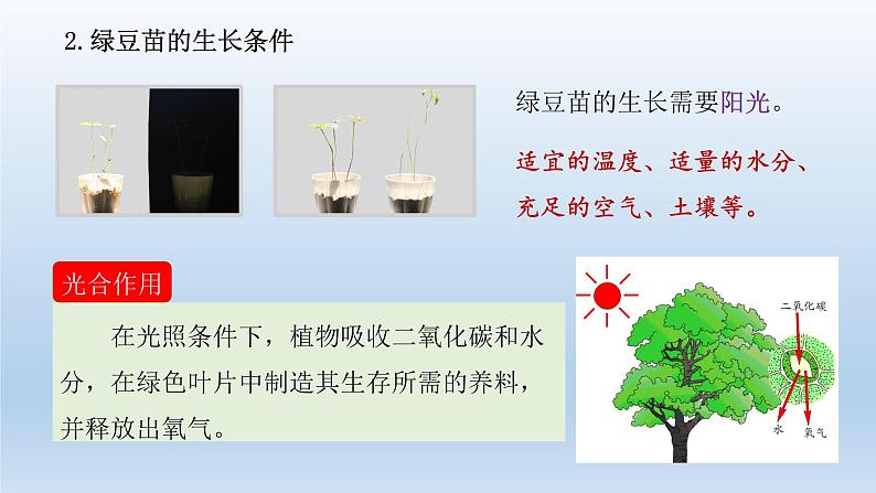 小学科学教科版五年级下册第一单元《生物与环境》复习课件第7页
