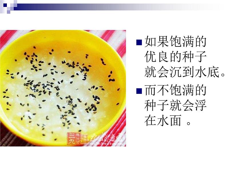 五年级下册科学课件 -1.1 物体在水中是沉还是浮 |教科版 (共13张PPT)03