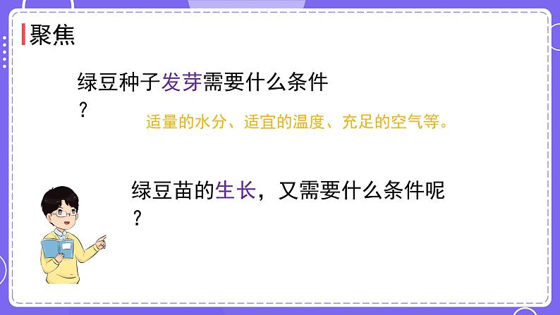 新教科版科学五下 第3课时 绿豆苗的生长 PPT课件第2页