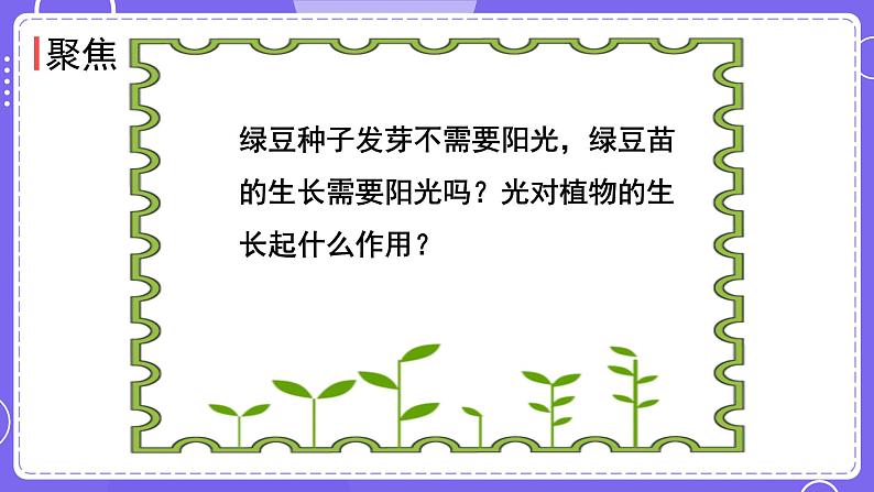 新教科版科学五下 第3课时 绿豆苗的生长 PPT课件第3页