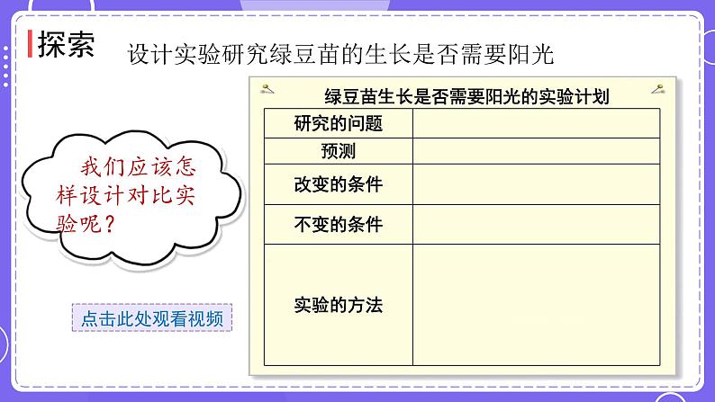 新教科版科学五下 第3课时 绿豆苗的生长 PPT课件第4页