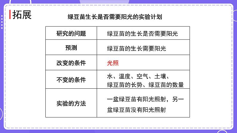 新教科版科学五下 第3课时 绿豆苗的生长 PPT课件第5页