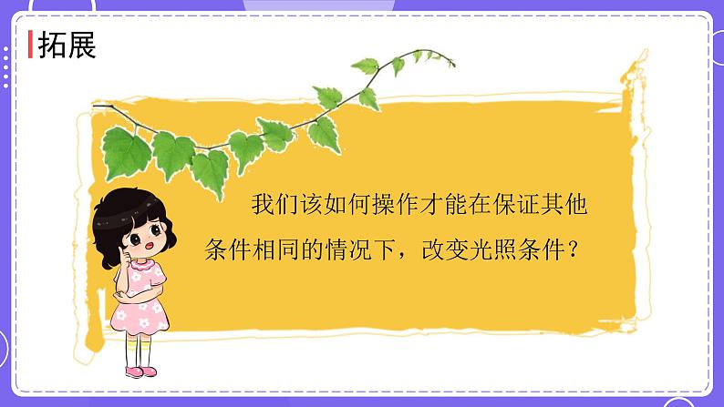 新教科版科学五下 第3课时 绿豆苗的生长 PPT课件第6页