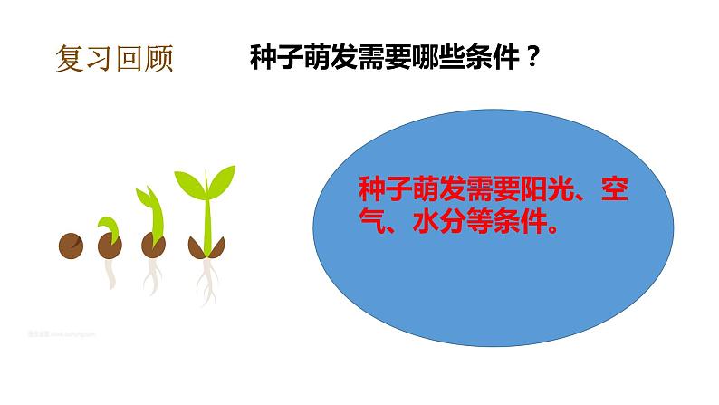 教科版(2017秋)五年级下册科学1.1种子发芽实验 PPT课件+素材07