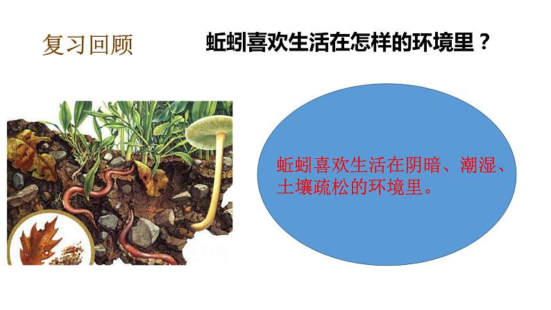 教科版(2017秋)五年级下册科学1.5当环境改变了(课件12张ppt+素材) 第7页