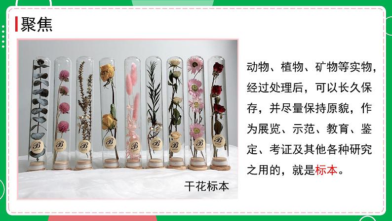 第4课时 制作岩石和矿物标本第2页