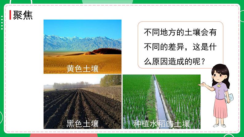 新教科版四下科学 3.7 比较不同的土壤 课件PPT+视频素材02