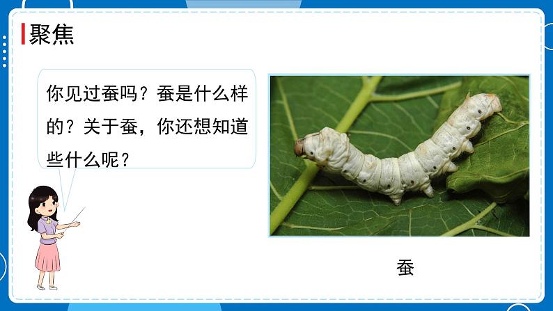 第1课时 迎接蚕宝宝的到来第2页