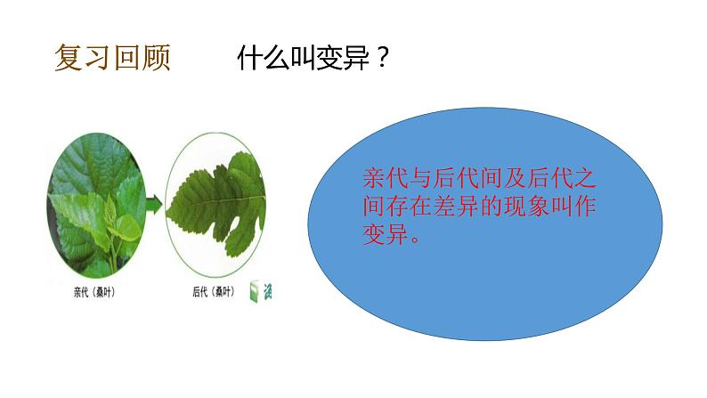 教科版(2017秋)六年级科学下册2.4多种多样的动物(课件40张ppt+素材)08