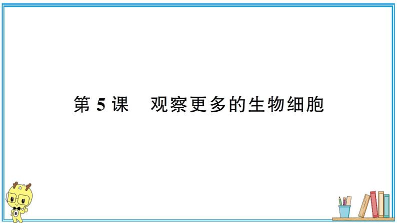 教科版 科学六年级上册 第一单元 第5课 观察更多的生物细胞 习题课件01