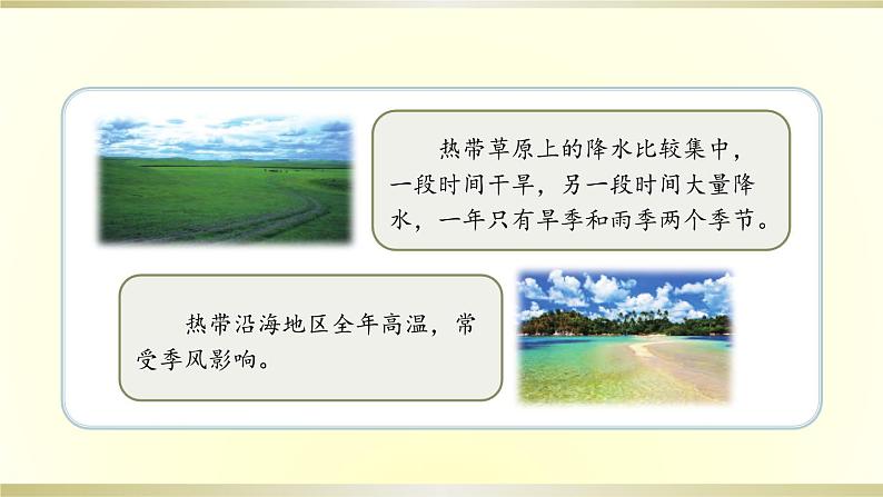 小学科学苏教版三年级下册第5课《不同环境里的植物》课件8(2020新版)第5页