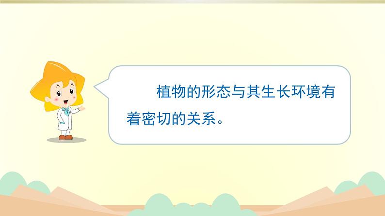 小学科学苏教版三年级下册第5课《不同环境里的植物》课件8(2020新版)第6页