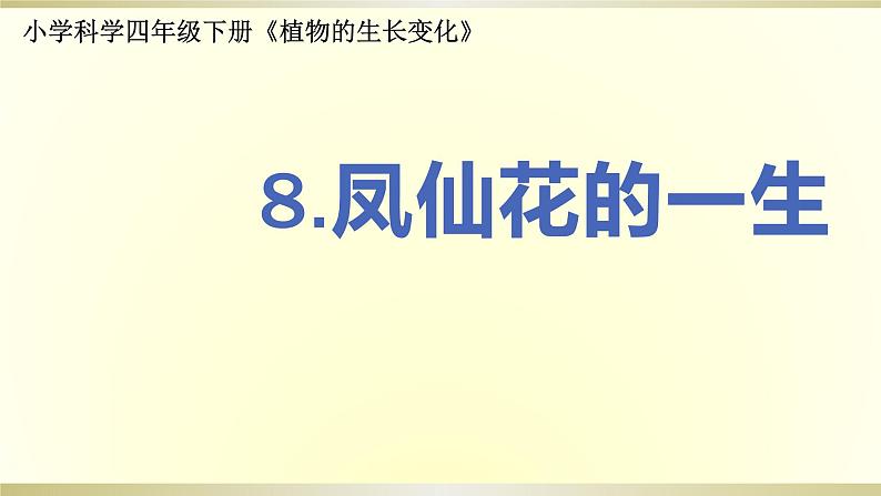 小学科学教科版四年级下册第一单元第8课《凤仙花的一生》课件6(2021新版)第1页
