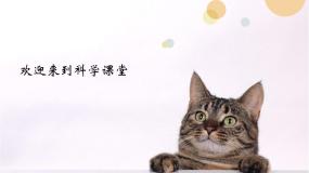 科学三年级上册一 和动物交朋友1 身边的动物集体备课课件ppt