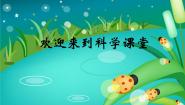 科学1 动物的食物课文课件ppt