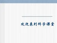 人教版小学科学三年级上册2.2动物的身体和运动课件