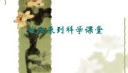 小学科学人教版 (新课标)三年级上册四 水和空气很重要3 认识水和空气课文配套课件ppt