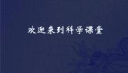 小学科学人教版 (新课标)四年级上册四 陪伴我们的日与月2 阳光下的影子图片课件ppt
