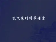 人教版小学四年级科学上册4.2阳光下的影子课件