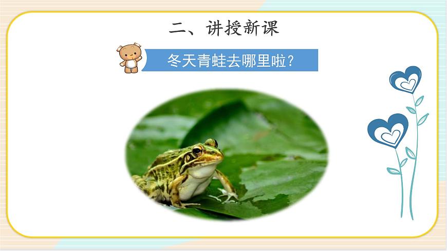 3.2 四季與動(dòng)物 二年級(jí)下冊(cè)科學(xué) 大象版 教學(xué)課件第4頁(yè)