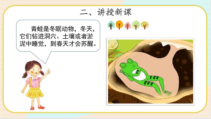 3.2 四季與動(dòng)物 二年級(jí)下冊(cè)科學(xué) 大象版 教學(xué)課件第5頁(yè)