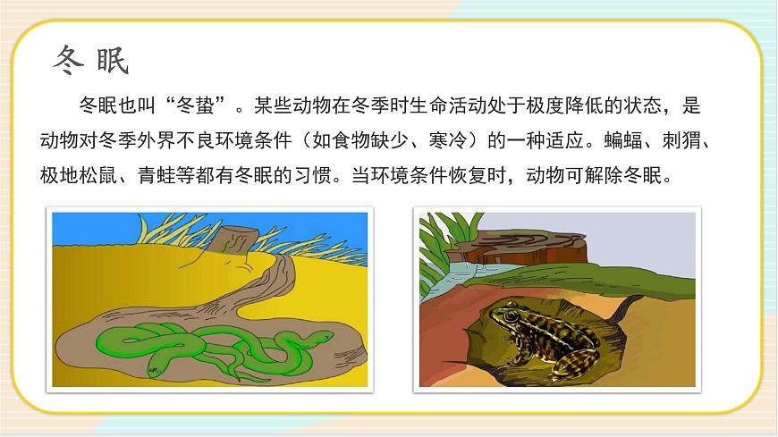 3.2 四季與動(dòng)物 二年級(jí)下冊(cè)科學(xué) 大象版 教學(xué)課件第6頁(yè)