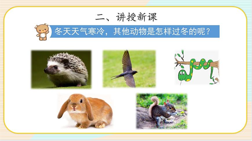3.2 四季與動(dòng)物 二年級(jí)下冊(cè)科學(xué) 大象版 教學(xué)課件第7頁(yè)